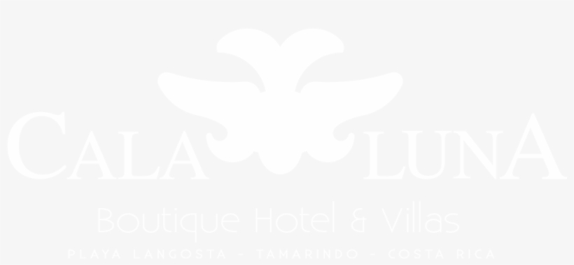 January 27th 2018 Tamarindo Art Wave, transparent png #6581676