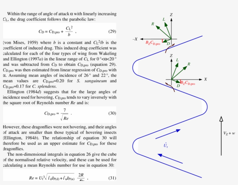 Acts 'downwards' During Both The Morphological Up-and, transparent png #6583188