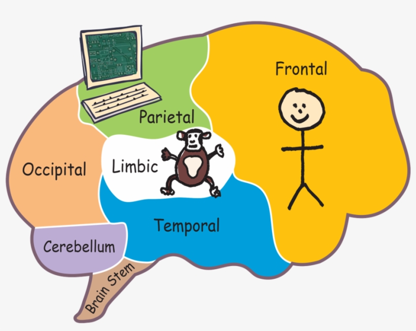 Get Your Inner Chimp Interview Ready Presentation, transparent png #6585685