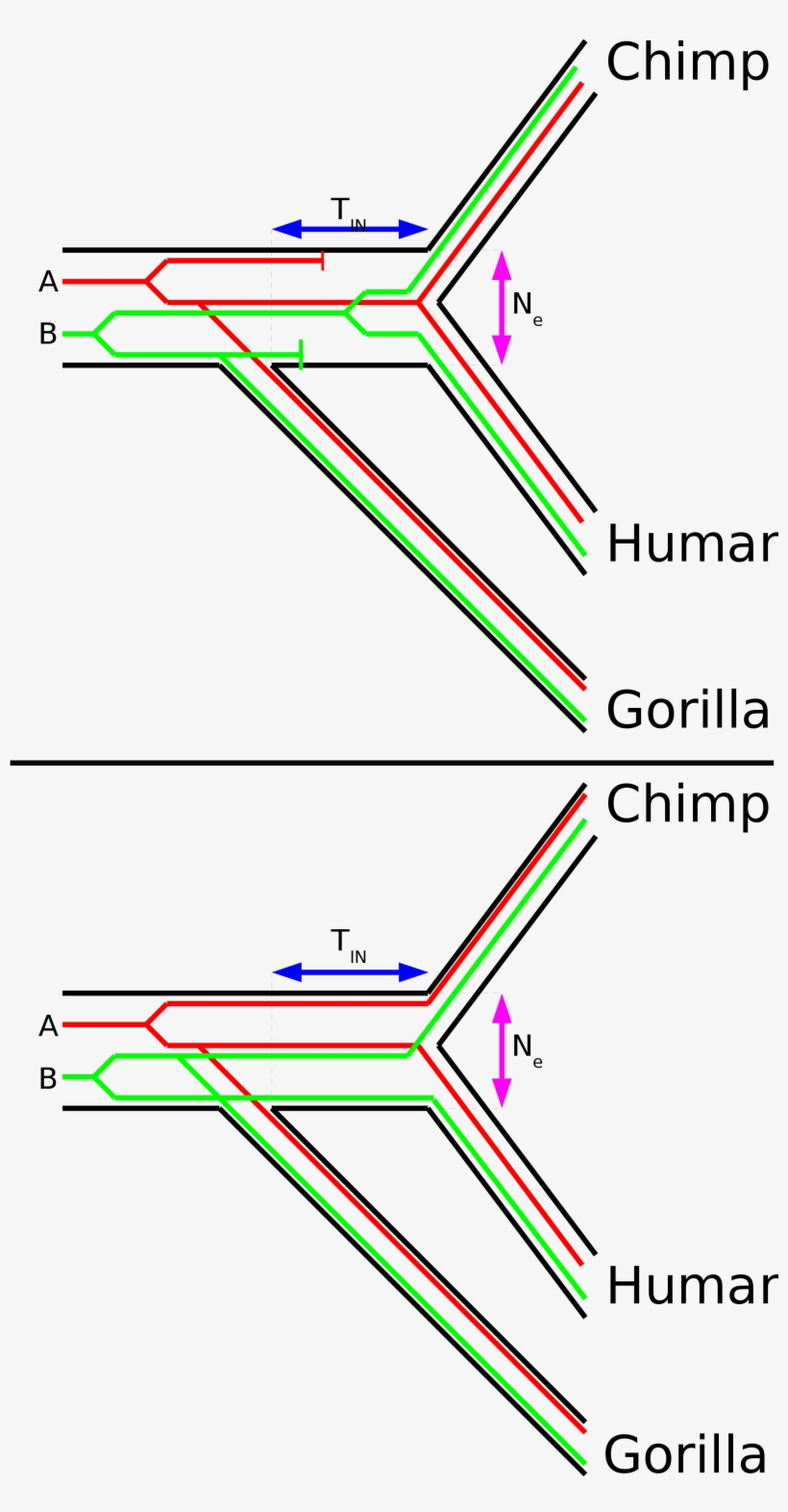 Open, transparent png #6585889