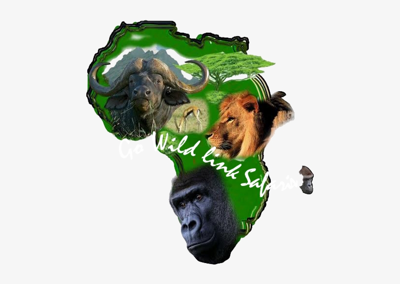 Gorilla Safaris Uganda, transparent png #6586016
