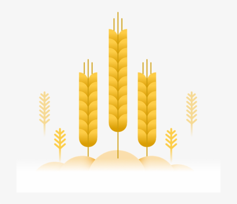 O Trigo, transparent png #6588501