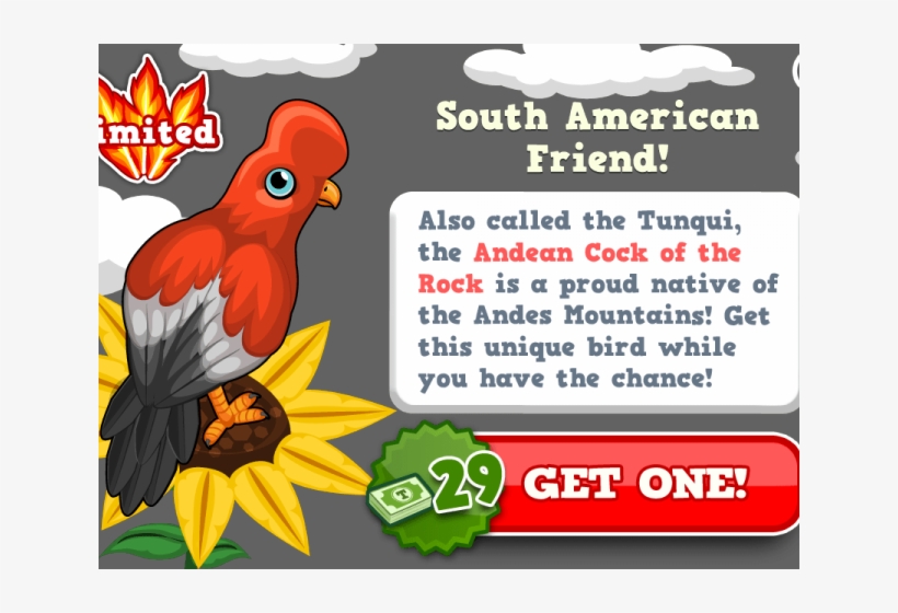 South America Clipart Jungle Bird, transparent png #6588928