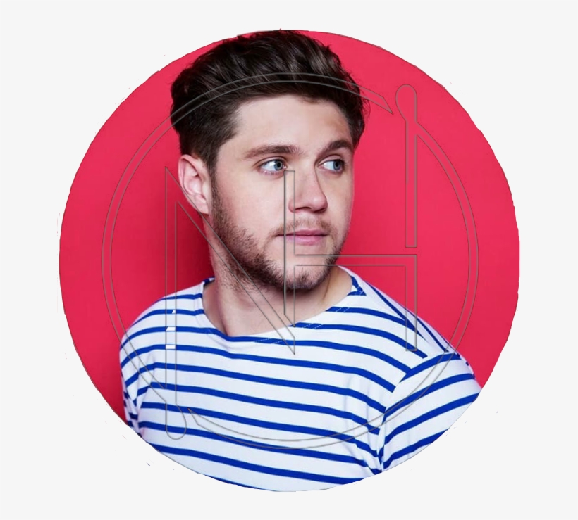 Niall Horan Png, transparent png #6591264