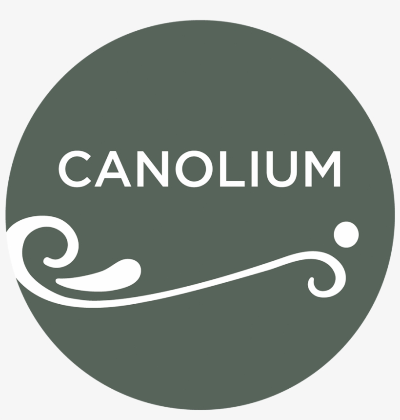 Our Company, Canolium , Is In Full Search Of Commercial, transparent png #6592643