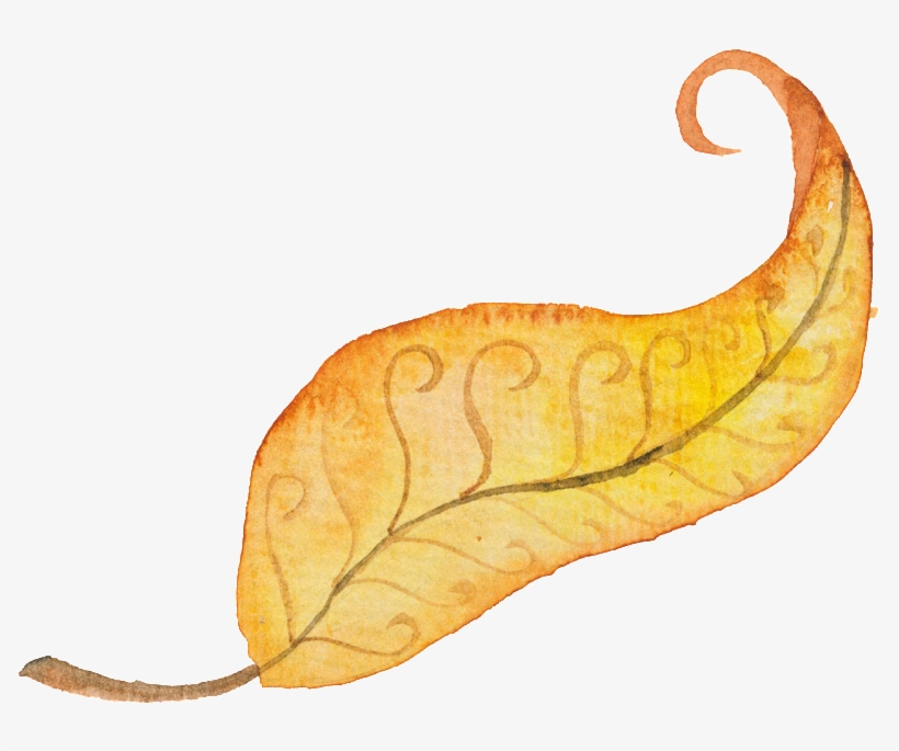 Autumn Transparent Decorative, transparent png #6593511