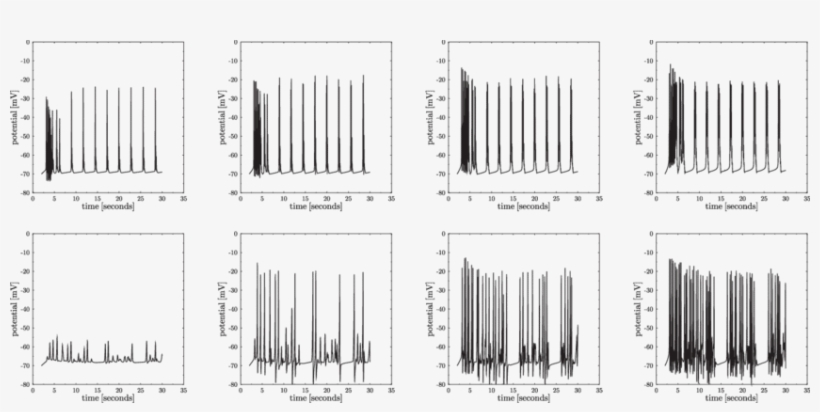 -cell Membrane Potential Of Single Cells In An Islet, transparent png #6593863