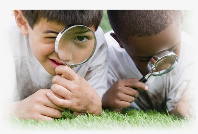 Search And Sort Nys Standards Quicker And Easier Than, transparent png #6595914