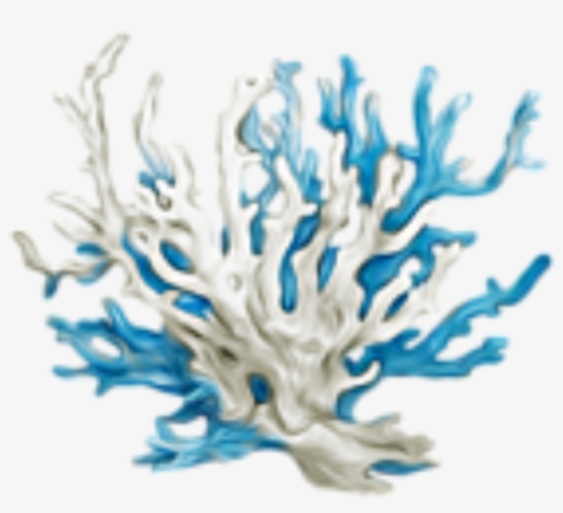 Sea Coral Png, transparent png #6596350