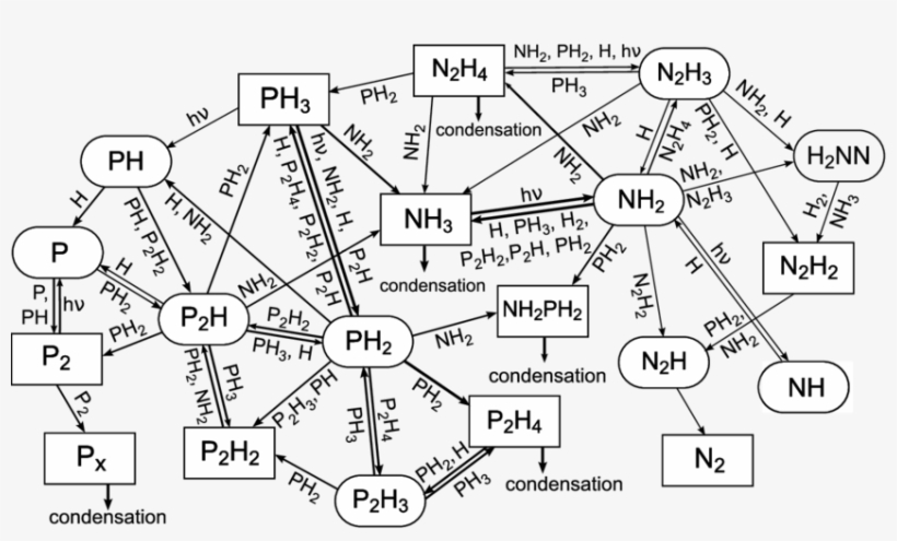 14 Schematic Diagram Illustrating The Important Reaction, transparent png #6596666