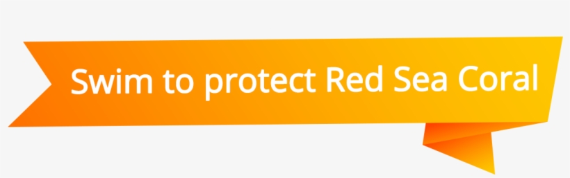 The Morning Of Saturday Of 26th January 2019, A Day, transparent png #6597256