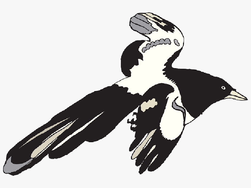 Flying Crow Clipart Black And White - Dracula Kartun Hitam Putih, transparent png #660581