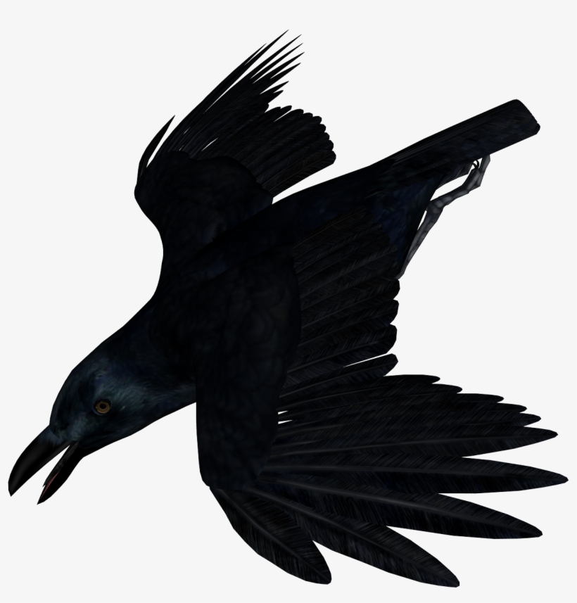 Download - Cuervo Dibujo Sin Fondo, transparent png #660737