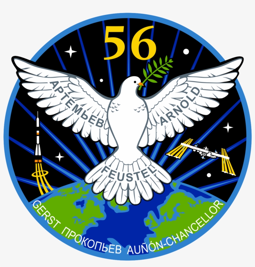 Health, Physics Research During Preps For Spacewalk - Expedition 56 Patch, transparent png #661304