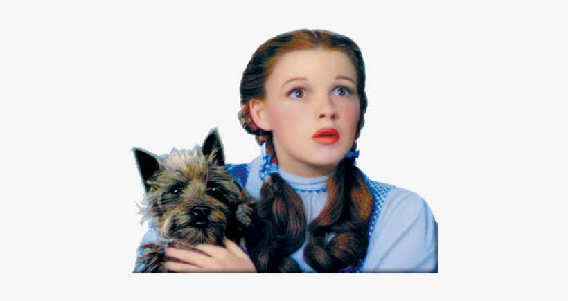 Of, Oz, And Transparent Image - We Ain T In Kansas Anymore Toto, transparent png #662761
