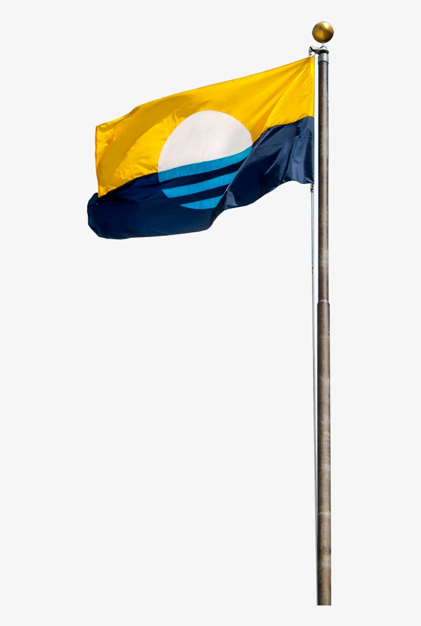 Png Flag, transparent png #662859