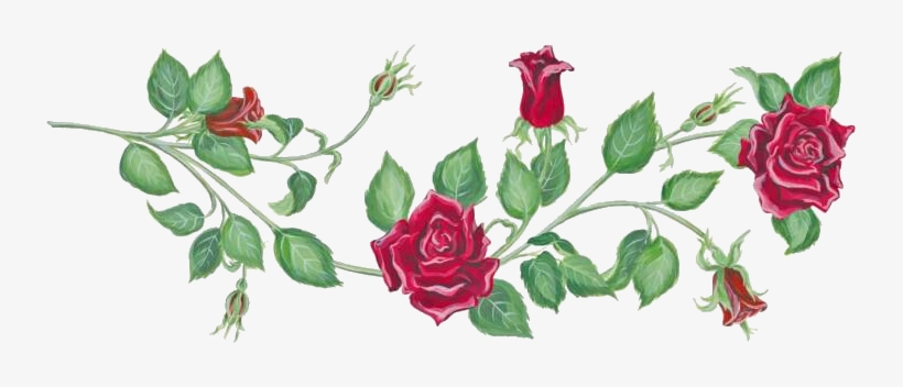 Photo Rosevine - Clip Art Rose Vines, transparent png #665323