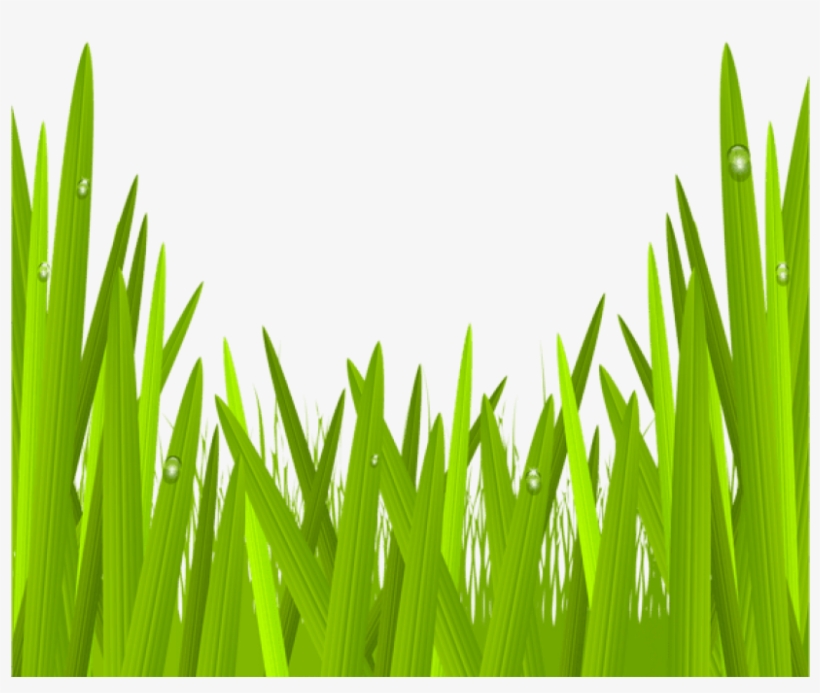 Green Grass Png Clip Art Image Gallery - Green Grass Clipart Transparent, transparent png #665440
