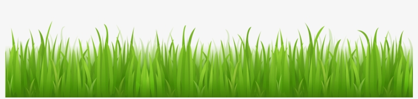 Green Grass Png Image Background - Grass With No Background, transparent png #665471