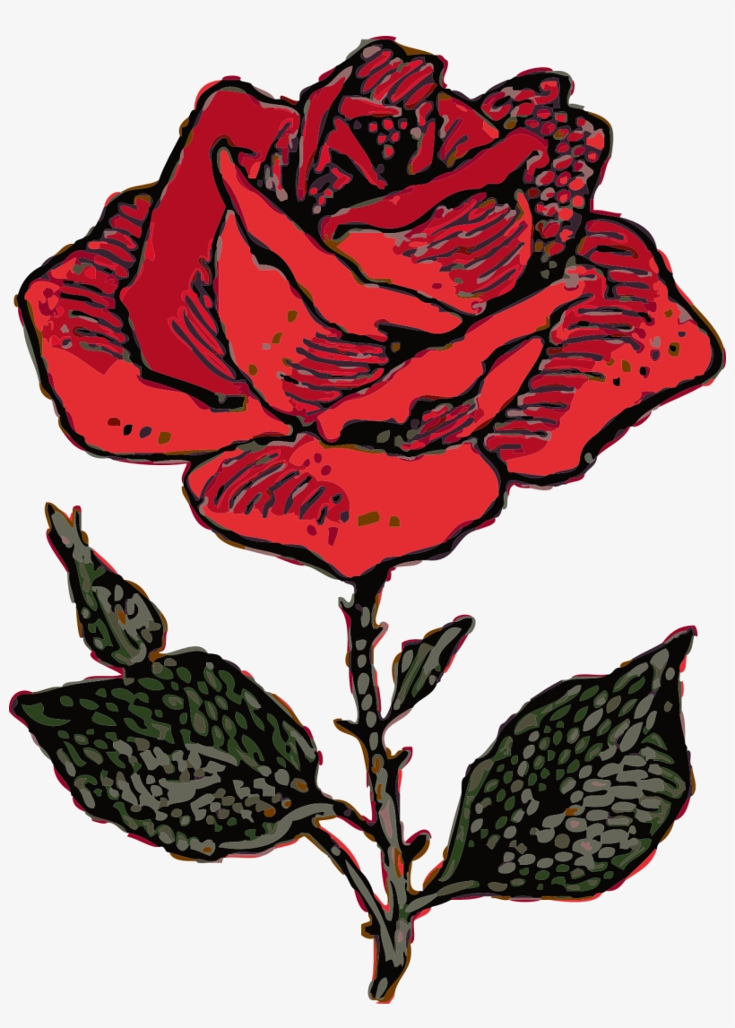 Pictures Of Roses With Vines - Coat Of Arms Rose, transparent png #665499