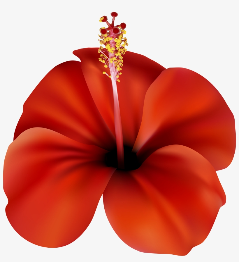 Clip Free Stock Png Clip Art Best Web, transparent png #665523