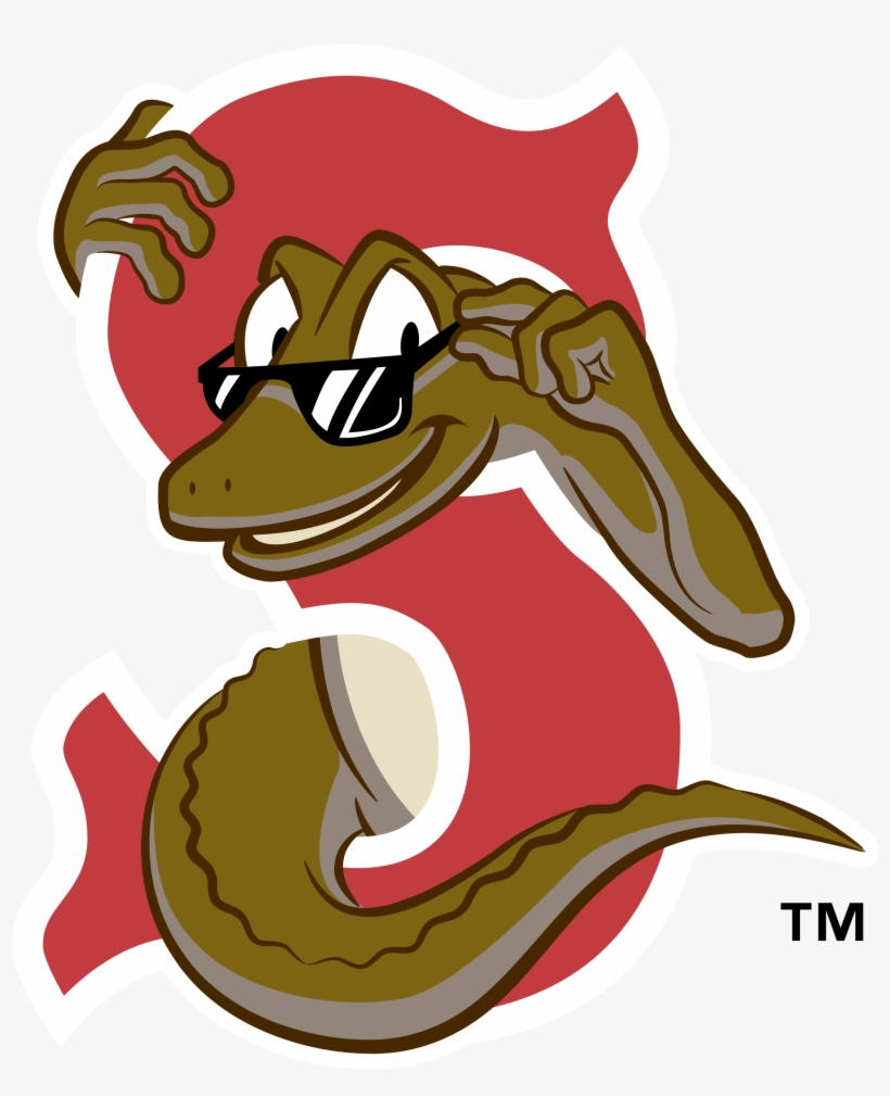 Sarasota Red Sox Logo Png Transparent - Sarasota Red Sox Logo, transparent png #665607