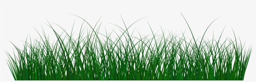 View Full Size, transparent png #665901