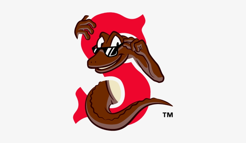 Sarasota Red Sox - Sarasota, transparent png #666267