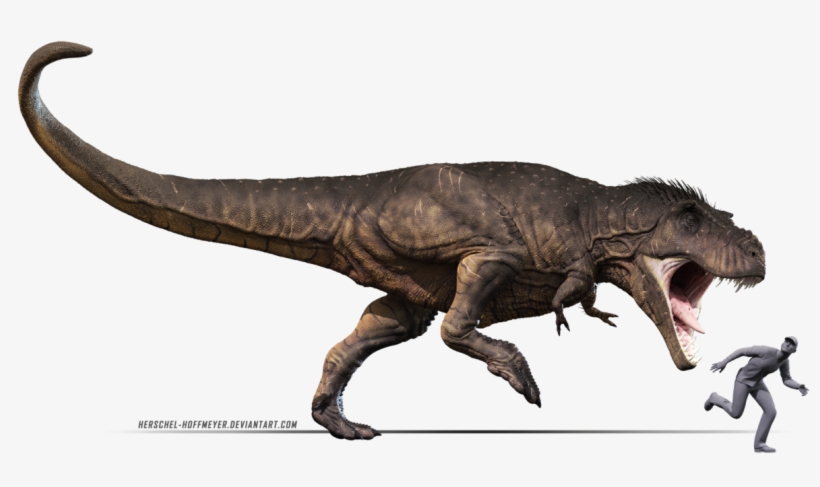 T Rex Background Png - T Rex Render, transparent png #667921