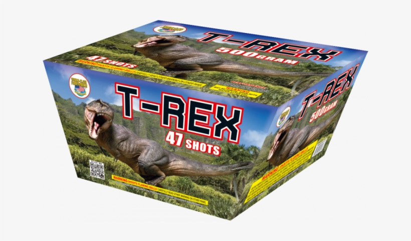 T-rex - Dinosauri. Quaderni Per Sapere Di Più. Con Adesivi, transparent png #668149