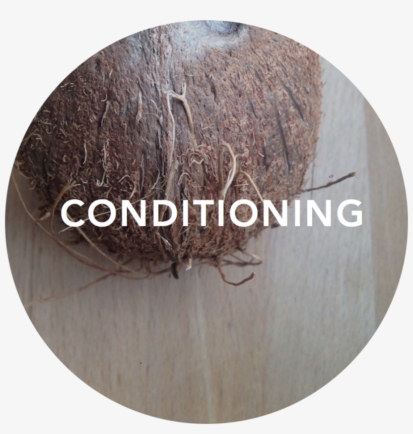 Conditioning Title - Title, transparent png #668200