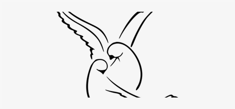 Lovebirds Drawing Couple - Drawing Of Dove Bird, transparent png #668358
