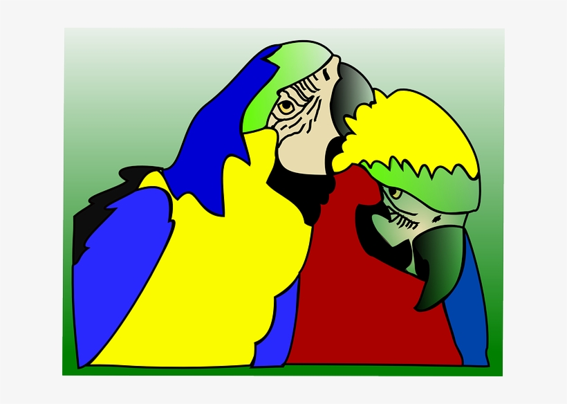 Parrots, Birds, Tropical, Exotic, Couple, Lovebirds - Clip Art, transparent png #668615
