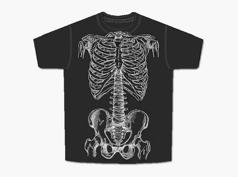 Bones Front Short, transparent png #668617