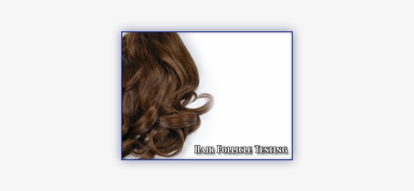 Hair, transparent png #669083