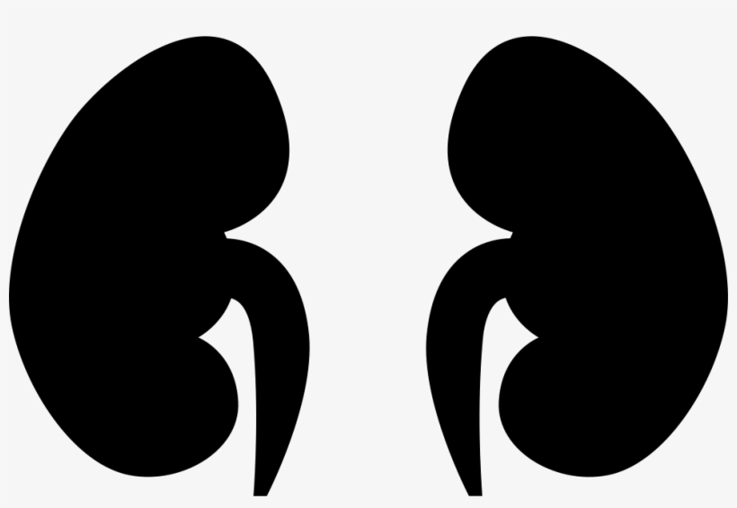 Png File Svg, transparent png #6604971