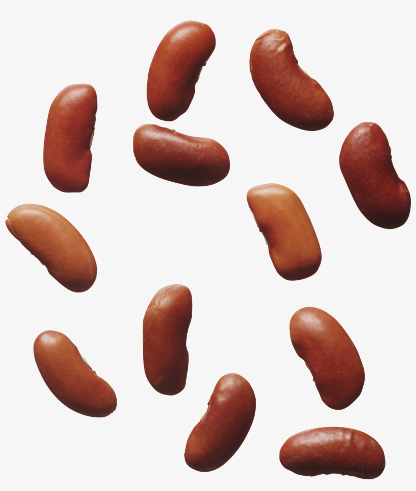 Kidney Png, transparent png #6605075