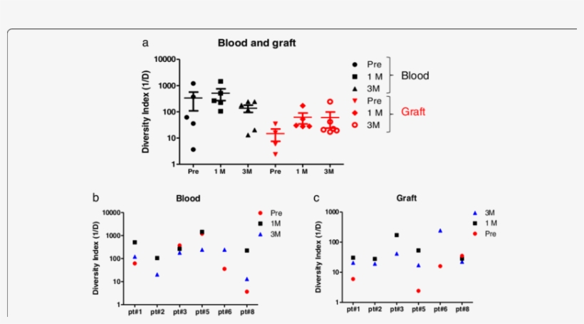 Tcr Repertoire Diversity In Blood Kidney Transplant, transparent png #6605488