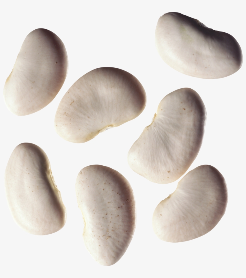 Kidney Beans Png, Download Png Image With Transparent, transparent png #6605660