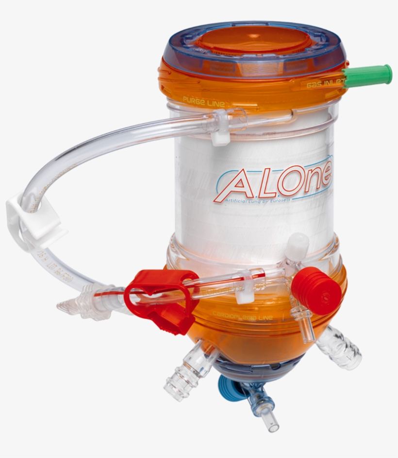 Watch The Video, transparent png #6606800