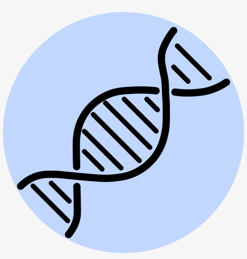 Suborganismal, transparent png #6607143