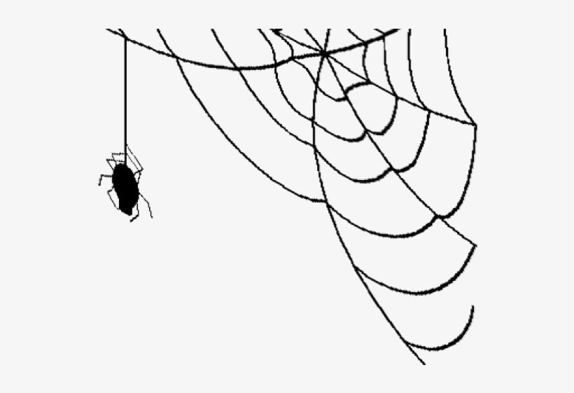 Corner spider web png free transparent png download pngkey