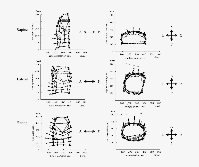 Computed Models Of Chest-wall Configuration For All, transparent png #6608382