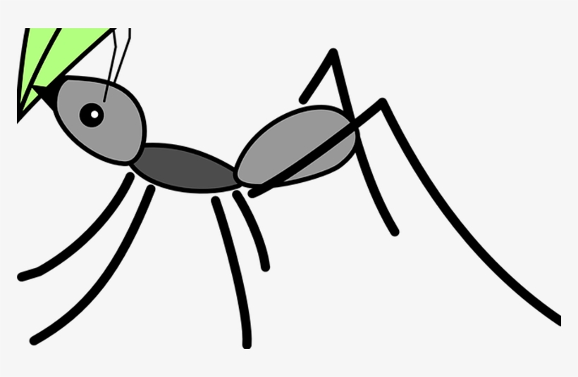 Limon Png, transparent png #6610603