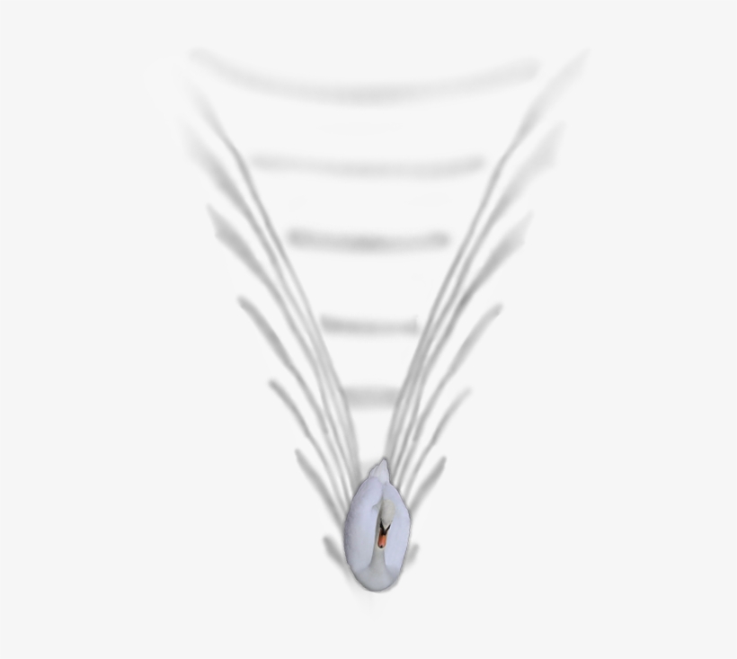 24 Mar 2009, transparent png #6612304