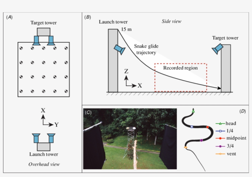 Experimental Setup For Recording Snakes In Latephase Free Transparent PNG Download PNGkey