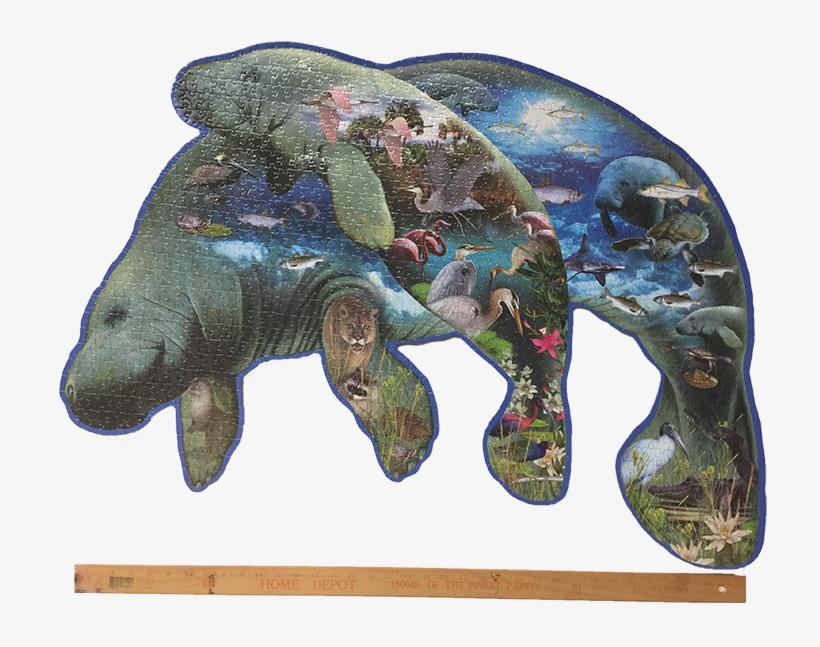 More Images, transparent png #6615808
