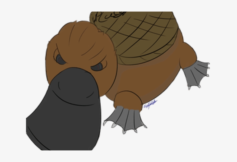 Manatee Clipart Platypus, transparent png #6616307