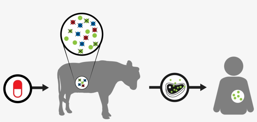 It Is Estimated That By 2050, 10 Million People Will, transparent png #6616493