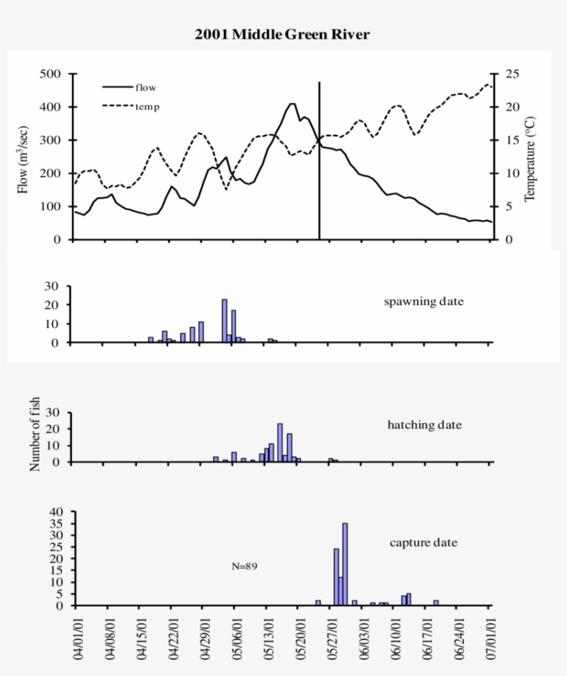 Capture And Otolith Age Estimated Hatching And Spawning, transparent png #6618664